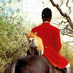 ｷﾂﾈ狩り トト ブックス