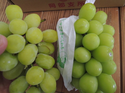 DSCN7346
