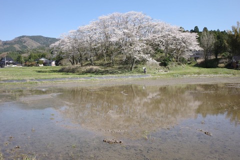 R0000352