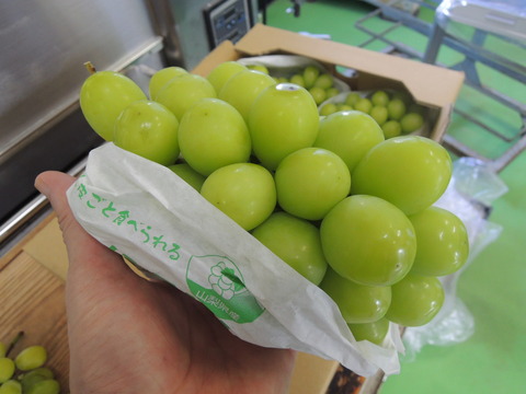 DSCN7345