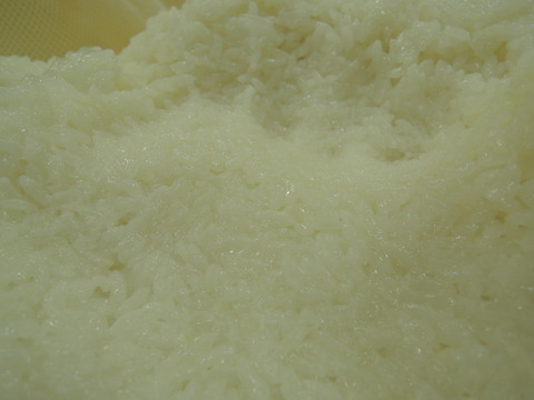 DSCN5790