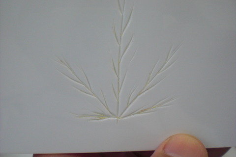 CIMG1058