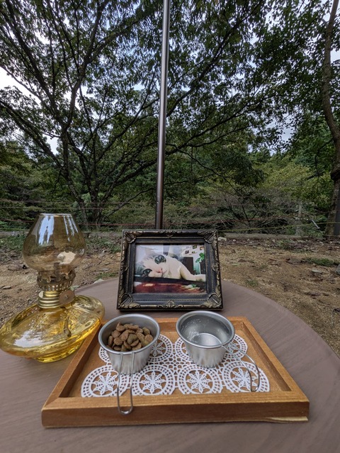 PXL_20251018_070007389