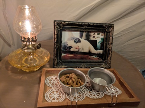 PXL_20251122_095940045