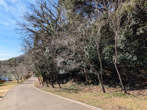 PXL_20250209_015648543