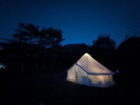 PXL_20251122_083618191