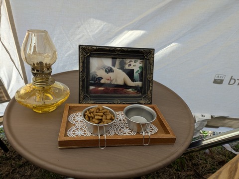 PXL_20251122_233702729