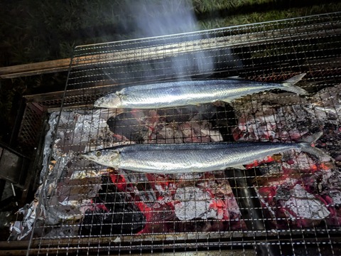 PXL_20250913_101557532