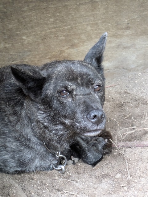 PXL_20250914_033218830