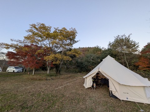 PXL_20251122_075544123