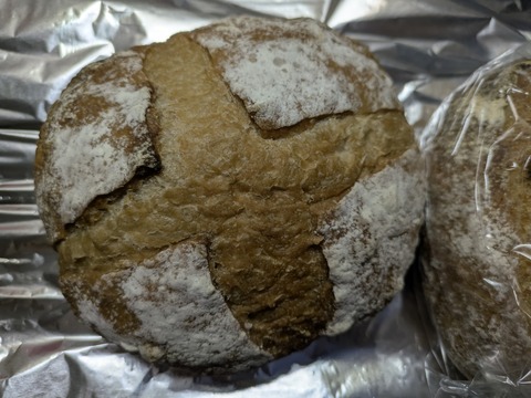 PXL_20251019_065831313