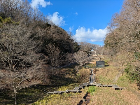 PXL_20250208_061042460