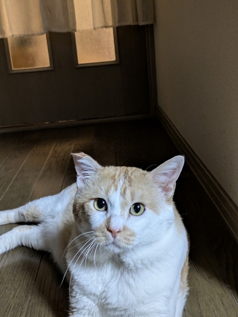 PXL_20250918_133336333