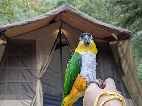 PXL_20251018_070303197