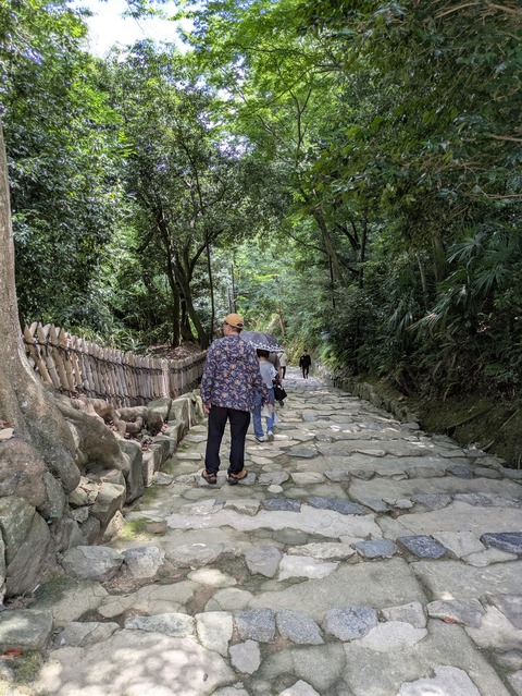 PXL_20250720_032527971