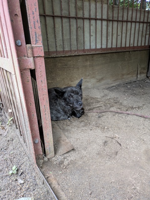 PXL_20250914_033216027