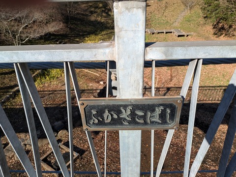 PXL_20250208_061037894