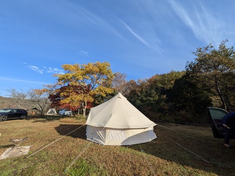 PXL_20251122_235027502