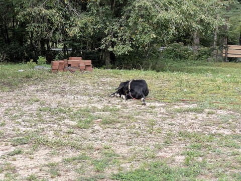 PXL_20250914_034236885