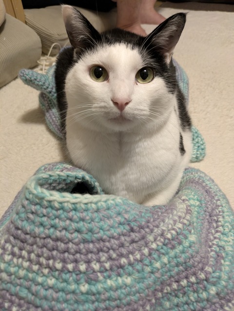 PXL_20251020_135726005