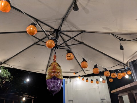 PXL_20251018_154905427