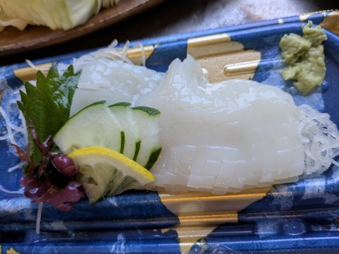 PXL_20250913_091526148