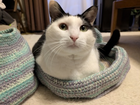 PXL_20251019_081727368