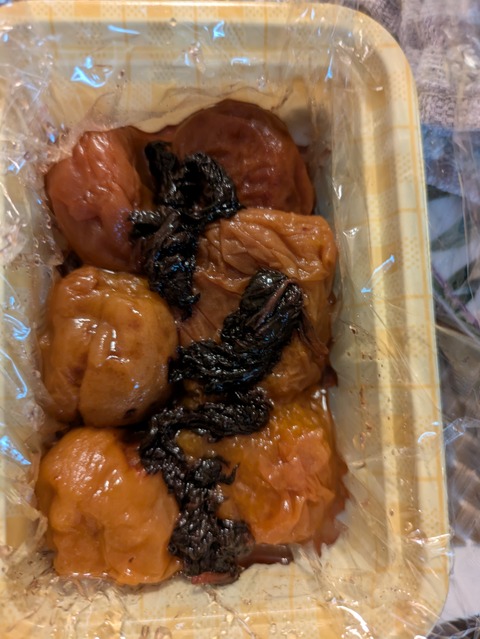 PXL_20251019_213942483