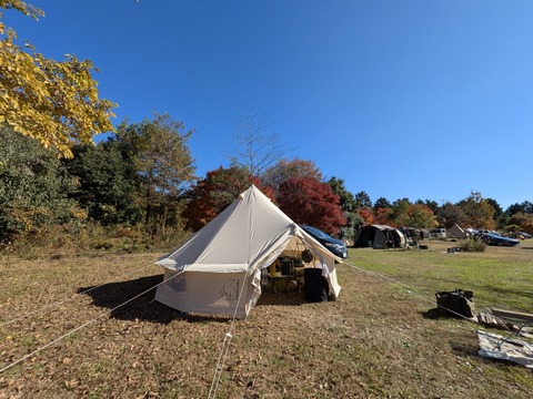 PXL_20251122_034351058