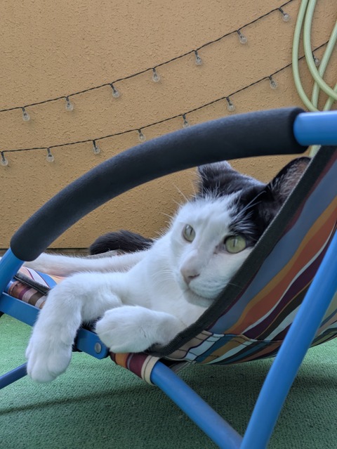 PXL_20250628_050751443