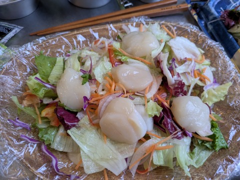 PXL_20250913_091238794