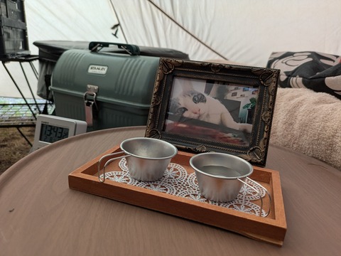 PXL_20250208_044329701