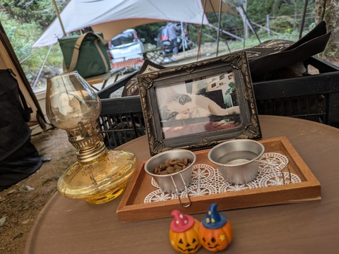 PXL_20251018_224603926