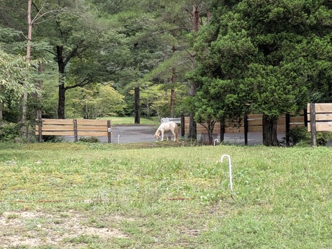 PXL_20250914_034239612