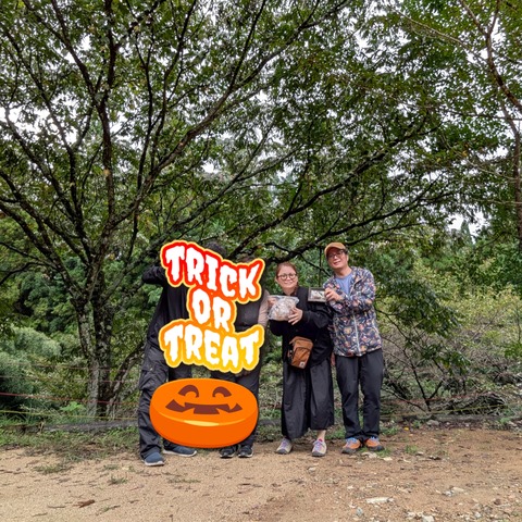 GridArt_20251020_231955650