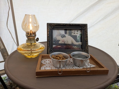 PXL_20251122_074953957