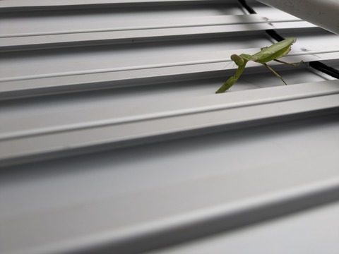 PXL_20251018_232719233