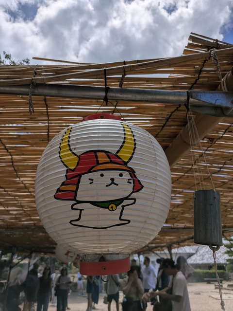 PXL_20250720_031612965