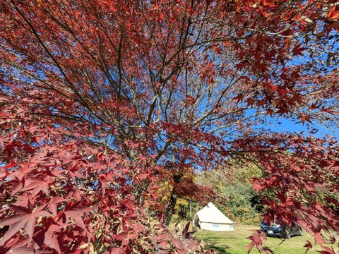 PXL_20251122_034536234