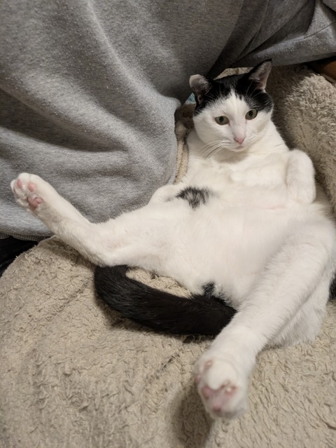 PXL_20251121_125848235