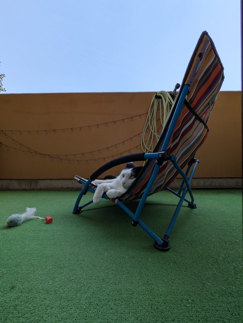 PXL_20250628_050759586