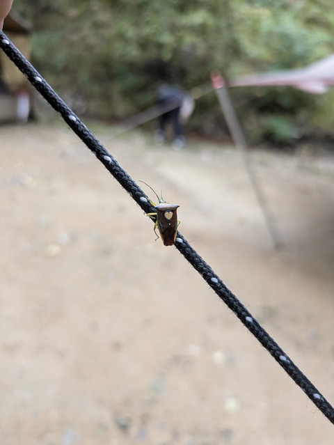 PXL_20251018_233701938