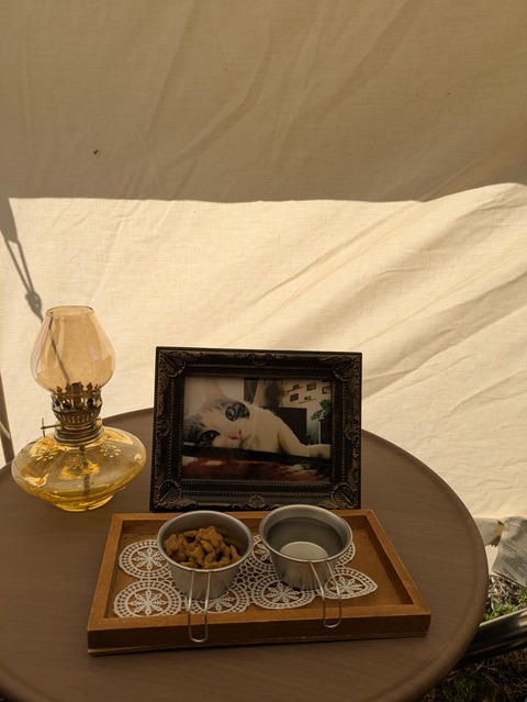 PXL_20251122_035802873