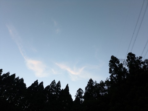 PXL_20250719_102255988