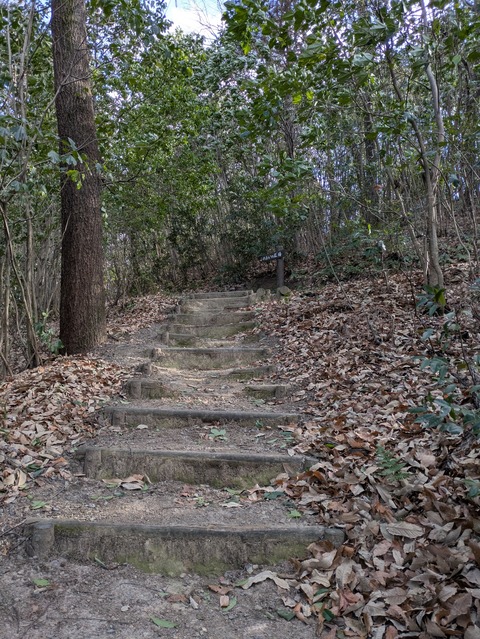 PXL_20250208_055217596