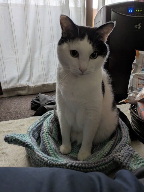 PXL_20251019_215336057