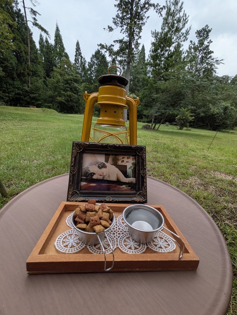 PXL_20250913_051259166