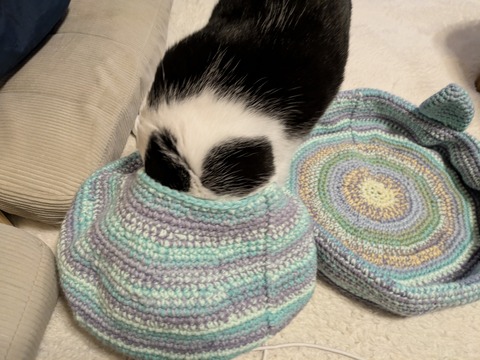 PXL_20251019_081625132