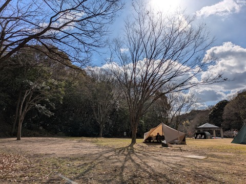 PXL_20250208_043934044