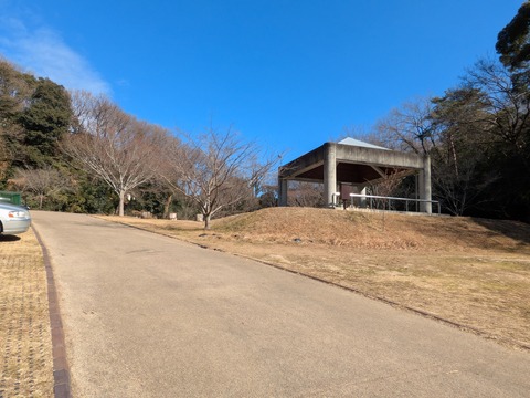 PXL_20250209_015641042